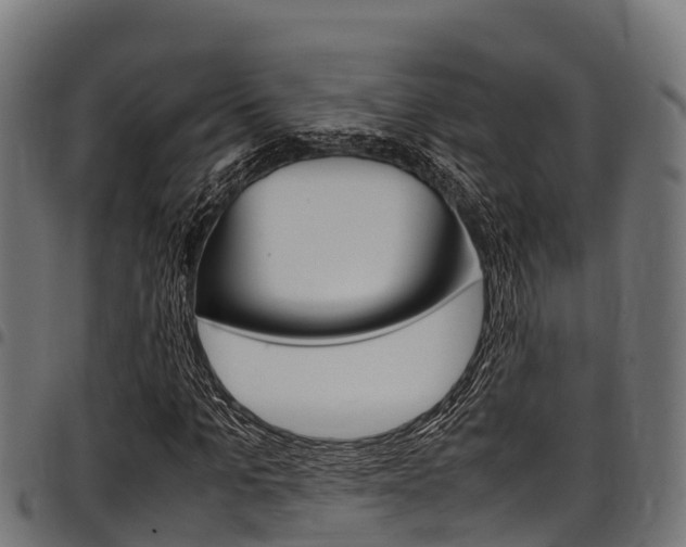 X0000098020965200803280749