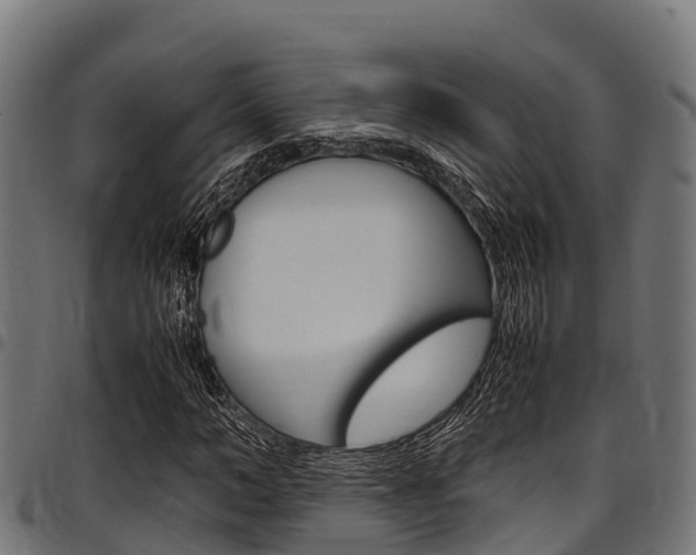 X0000098020966200803280749