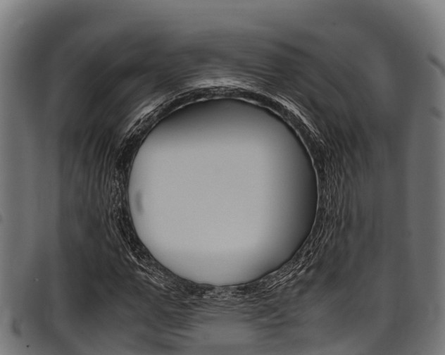 X0000098020967200803280749