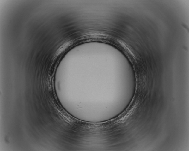 X0000098020970200803280749