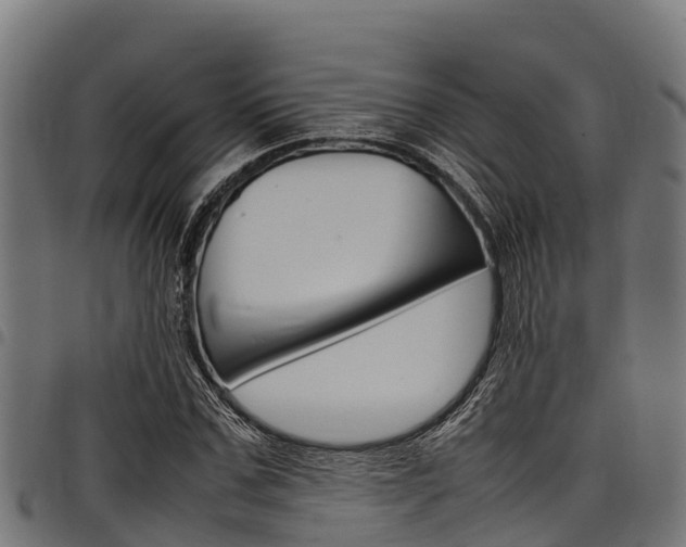 X0000098020971200803280749