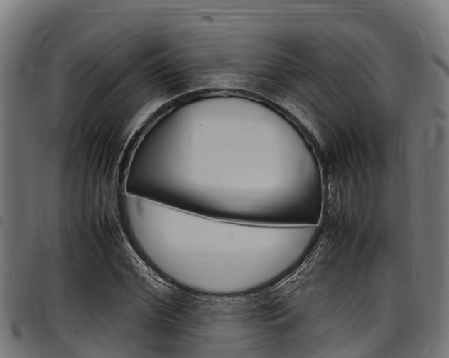 X0000098020972200803280749