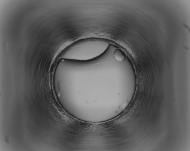 X0000098020974200803280749