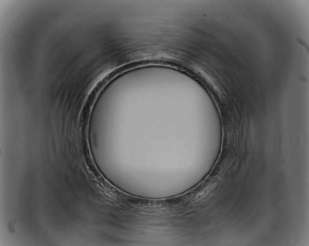X0000098020975200803280749