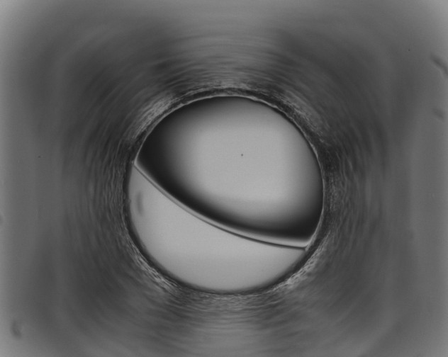 X0000098020977200803280749