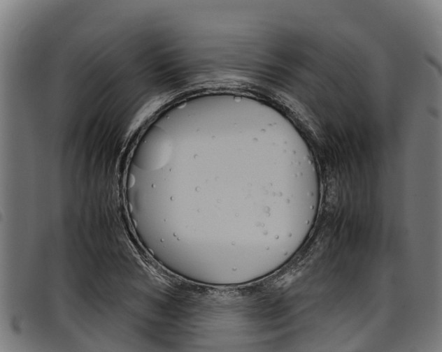 X0000098020978200803280749
