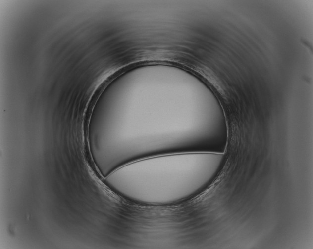 X0000098020980200803280749