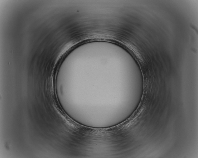 X0000098020982200803280749