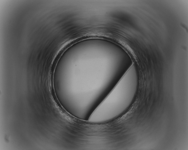 X0000098020984200803280749