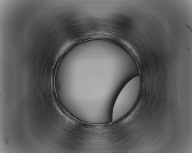 X0000098020986200803280749