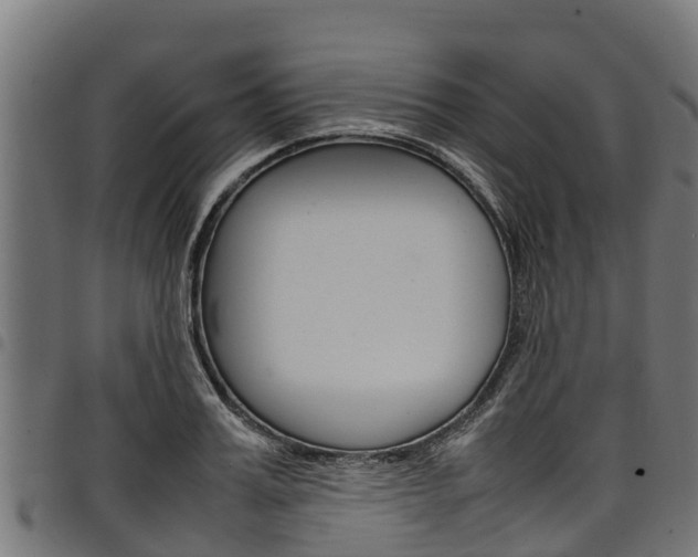 X0000098020987200803280749