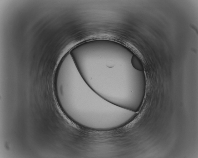 X0000098020989200803280749