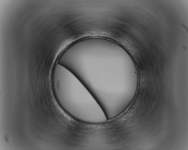 X0000098020990200803280749