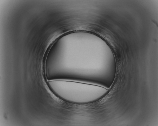 X0000098020991200803280749