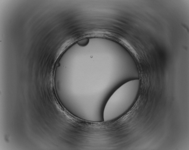 X0000098020994200803280749