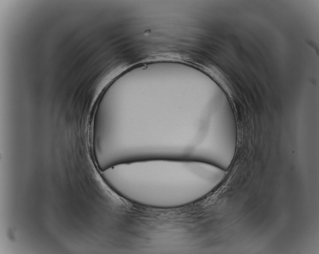 X0000098021003200803280749