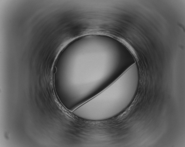 X0000098021004200803280749