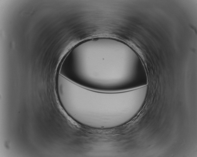 X0000098021005200803280749