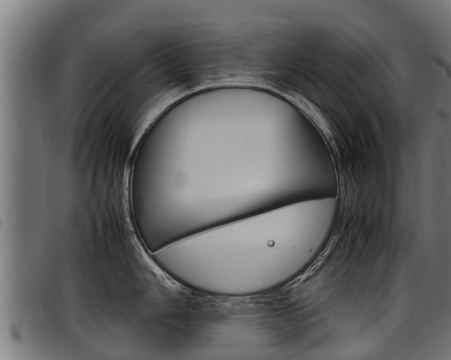 X0000098021006200803280749