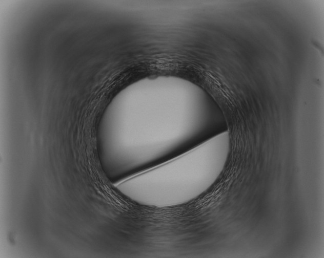 X0000098021009200803280748