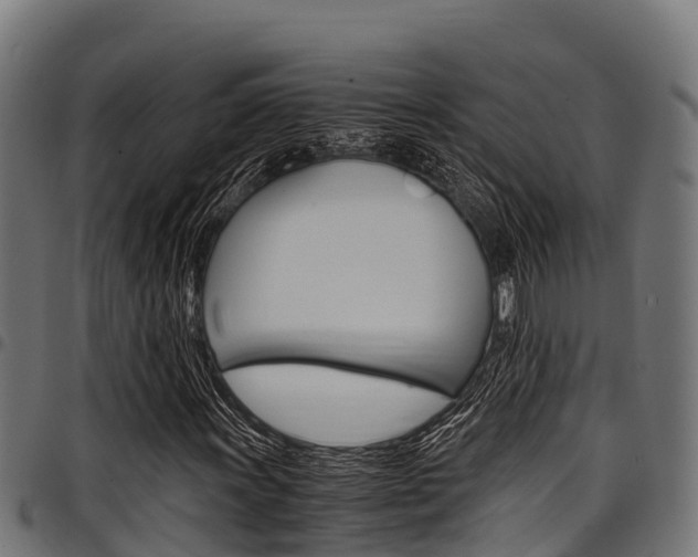 X0000098021011200803280748