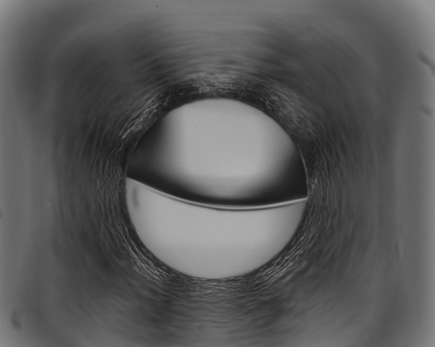 X0000098021012200803280748