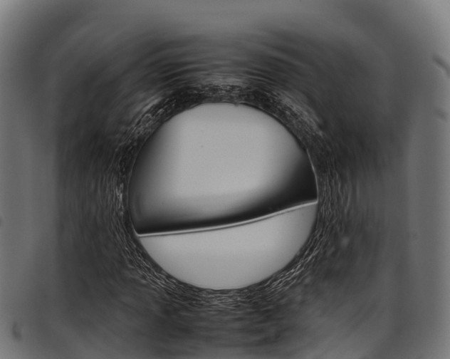 X0000098021013200803280748