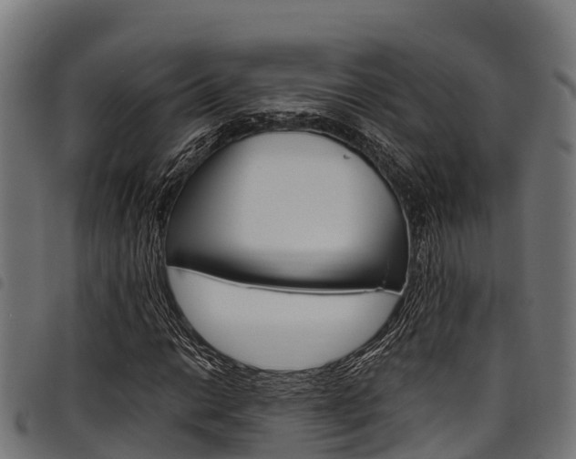 X0000098021014200803280748
