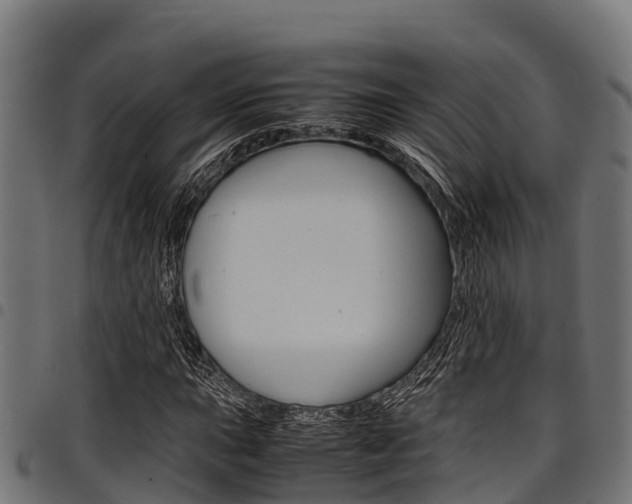 X0000098021015200803280748