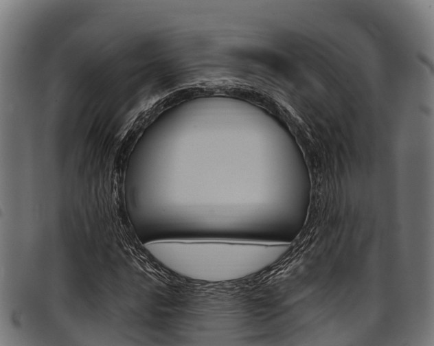 X0000098021016200803280748