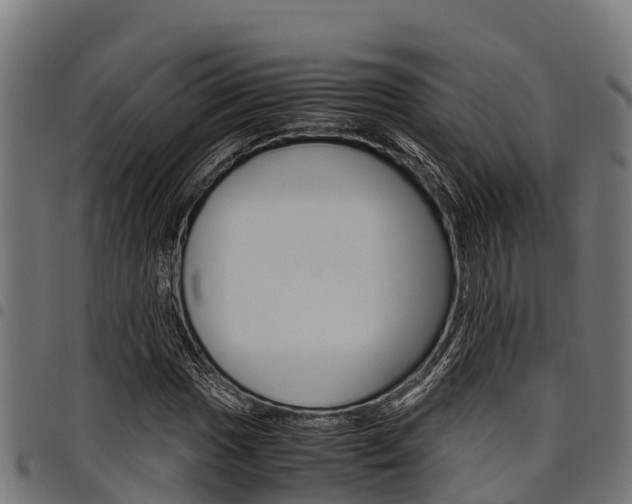 X0000098021017200803280748