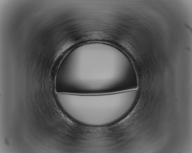 X0000098021018200803280748