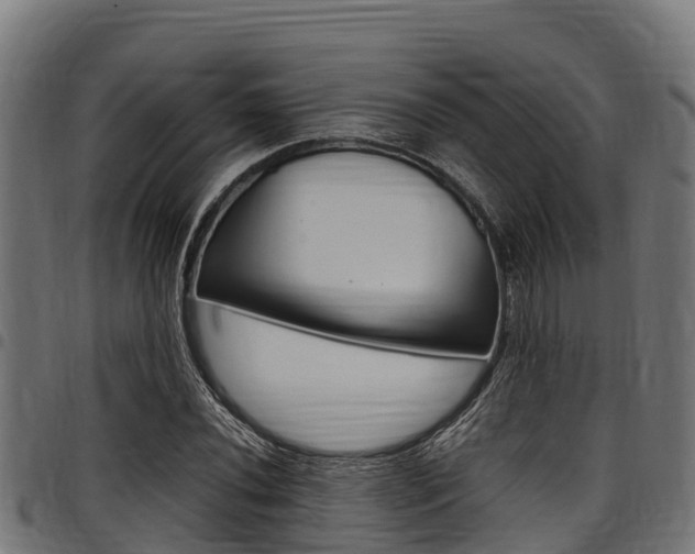 X0000098021020200803280748