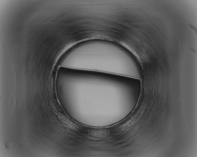 X0000098021021200803280748
