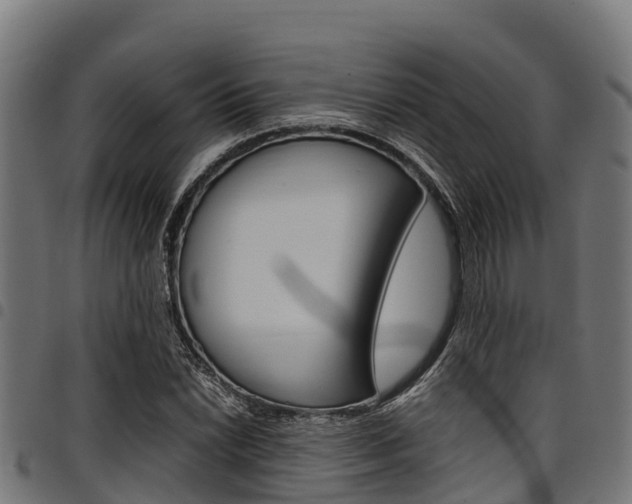 X0000098021022200803280748