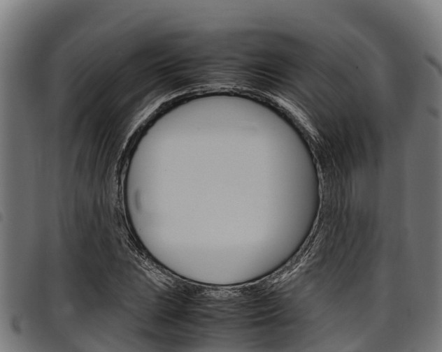 X0000098021023200803280748