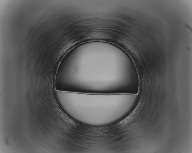 X0000098021025200803280748