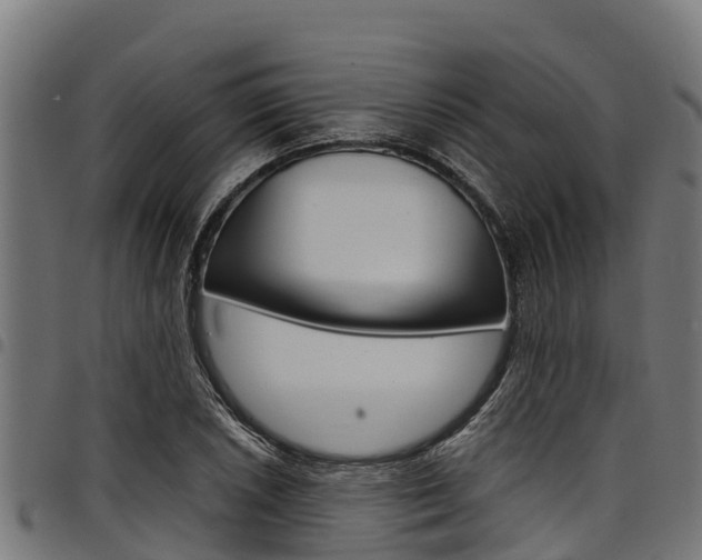 X0000098021026200803280748