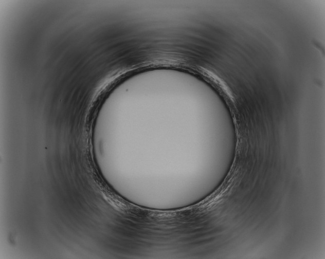 X0000098021027200803280748