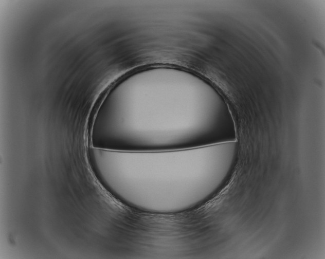 X0000098021028200803280748