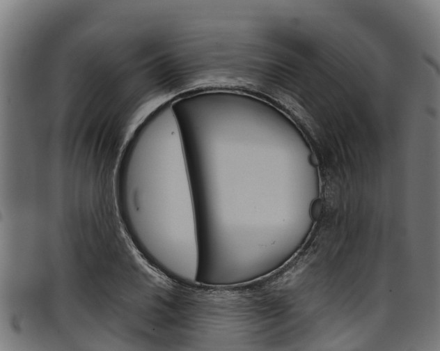 X0000098021030200803280749