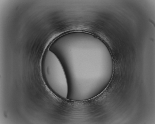 X0000098021032200803280749