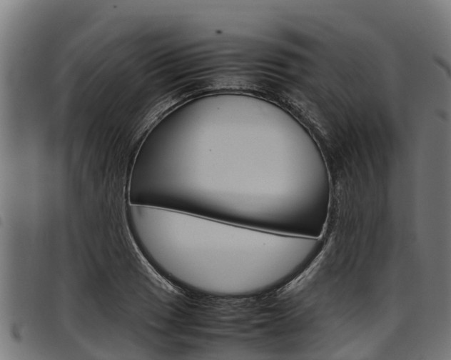 X0000098021033200803280749