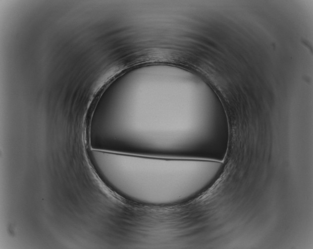 X0000098021034200803280749