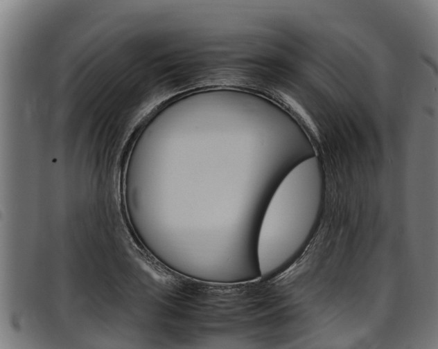 X0000098021035200803280749