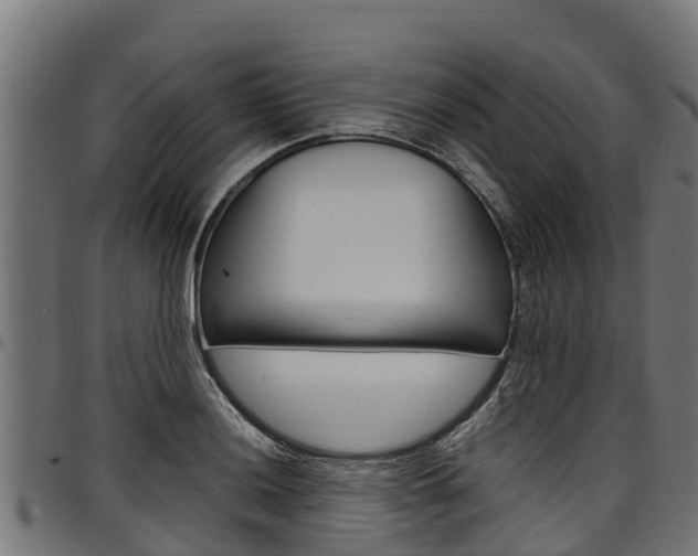 X0000098021036200803280749