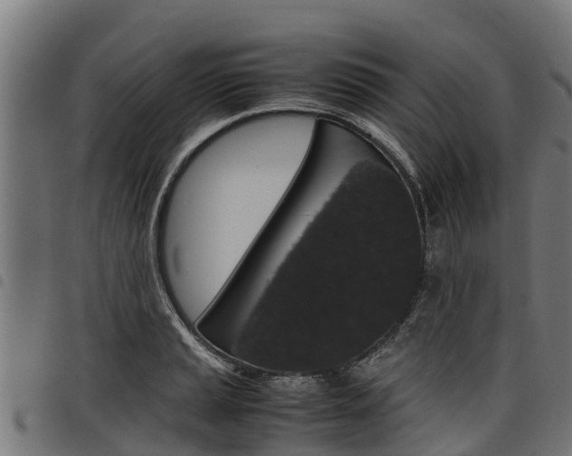 X0000098021037200803280749