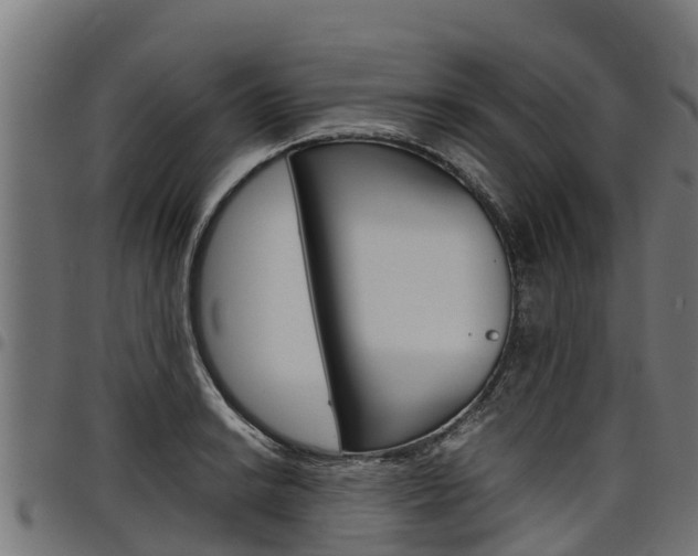 X0000098021038200803280749