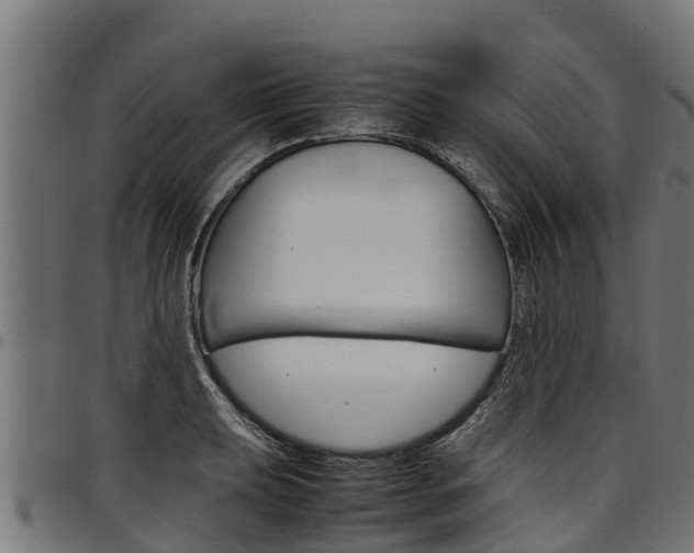 X0000098021039200803280749