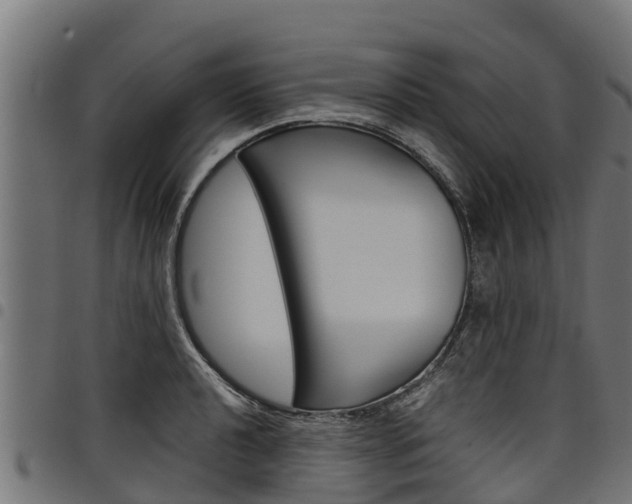 X0000098021040200803280749
